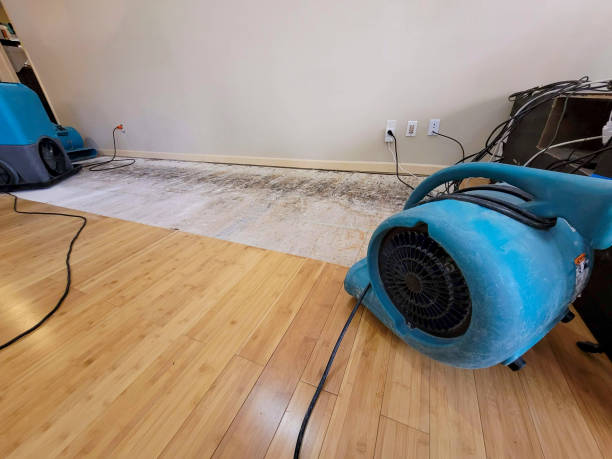 Reliable Water Damage Repair contractor in Springfield, NJ by Hirex Water Damage